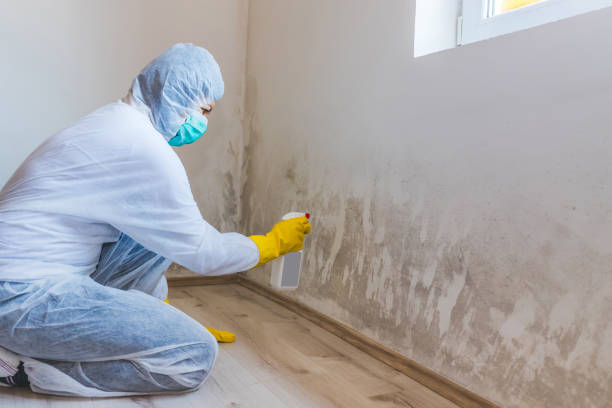 Hvac And Air Duct Mold Remediation inspection of HVAC system in Hampton